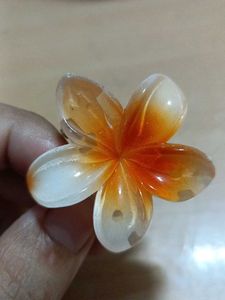 6 Flower Hair Claw Clips SET