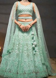 Mint Green Embellished Lehenga Choli