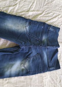 Embroidered &amp; Distressed Skinny Jeans