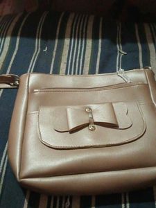 Used Purse 👜