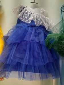 Blue Tulle Dress