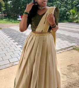 Latest Model Kerala Tissue Mural Paint Half Saree