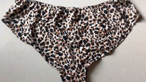 Brief
