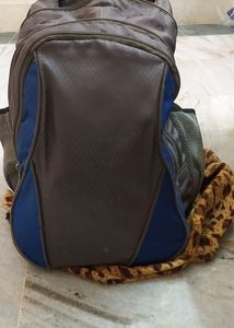Sree Leathers