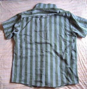 Striped Short Sleeve Button Down