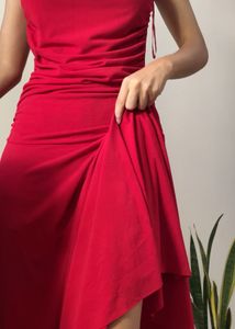 Zara Backless Dress
