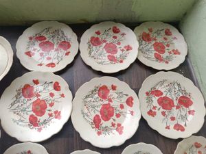 Dinner Set of 27 Pcs With 2 Serving Bowl Lid
