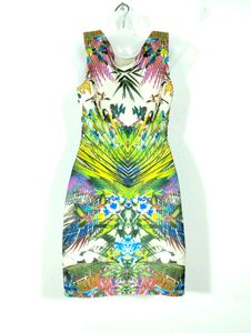 Multicolour Printed Sleeveless Dress (Women)