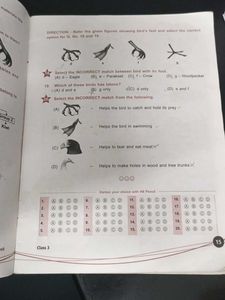 NSO Olympiad Class 3 Workbook