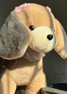 Dog Plush Toy