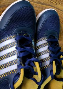 Blue & Yellow Sports Running Shoes