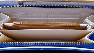 Clutches (Purse)
