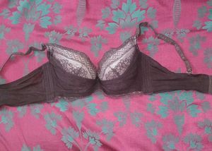 Lace Trim Pushup/Padded Bra