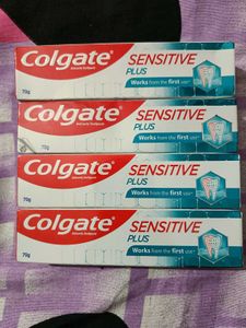 Pack Of 6