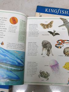 Set of 2:  First Picture Atlas + Encyclopedia