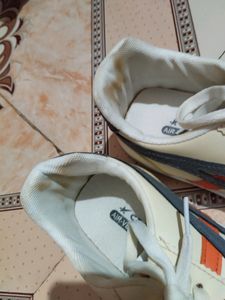 Shoes 7no