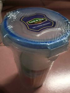 Two Plastic Container &amp;One Normal Dabba
