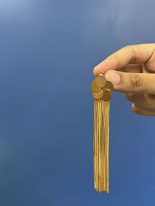 Dressberry Gold Tassel Earrings