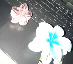 Floral Flower Hair Clips (2)