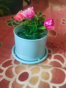 Crafty Pot