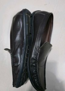 Invictus Coffee Brown Loafers
