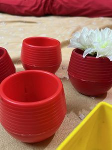 Plastic Vase Like Cups To Use Flowers And Plants