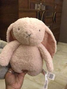 Blush Bunny Plush Toy With Freebie