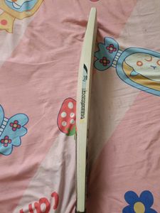 Cricket Bat