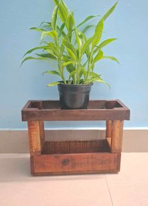Storage Box With Plant Holder