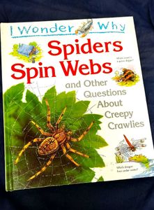 Spiders Spin Webs/ I Wonder Why Children Book