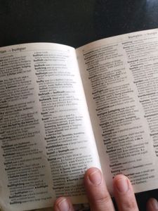 Dictionary(Oxford)