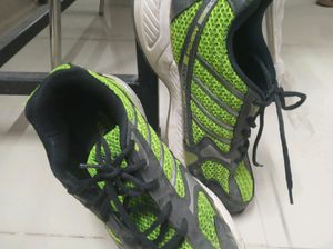 Running Shoes ( Parrot Green And Ash Colour Combo)