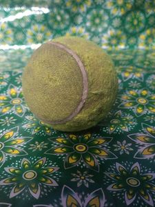 Used Tennis Ball