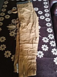 Mens Cargo Pant