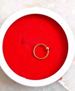 Beautiful New Round Nosering