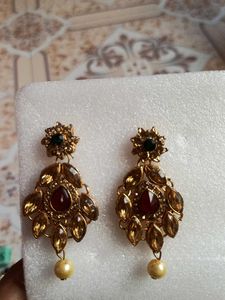 Elegant Stone Earrings