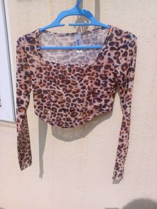 Leopard Print Mesh Crop Top