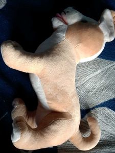 Dog Plush Toy