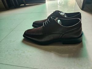 Allen Cooper Pure Leather Oxford/ Formal Shoes