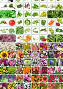 Variety Seed Collection