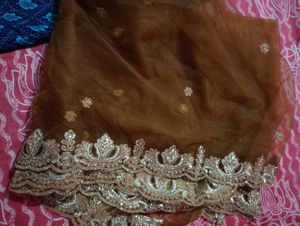 Lehenga And knee length tail Cut top