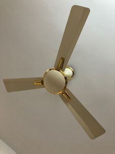 Ceiling Fan