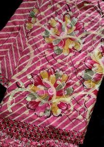 Beautiful Lightweight Saree