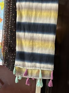 Stalls And scarf