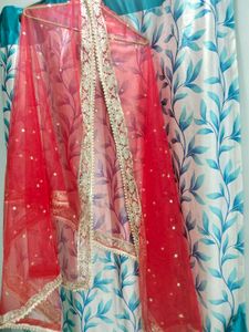 Red Pakistani Top Dupp