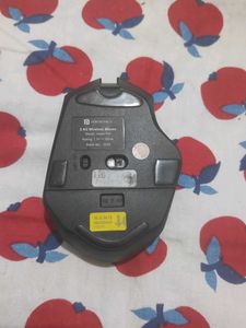 Mouse