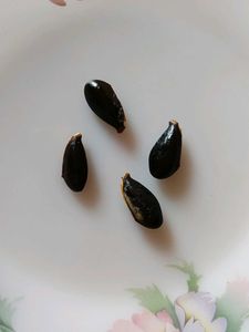 Sabeda Seeds