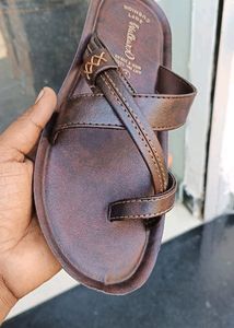 Paragon Vkc Walkaroo