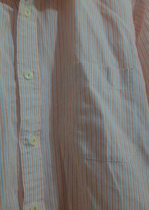 BRAND NEW Striped Button-Down Shirt
