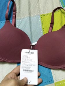 Burgundy Savana Bra